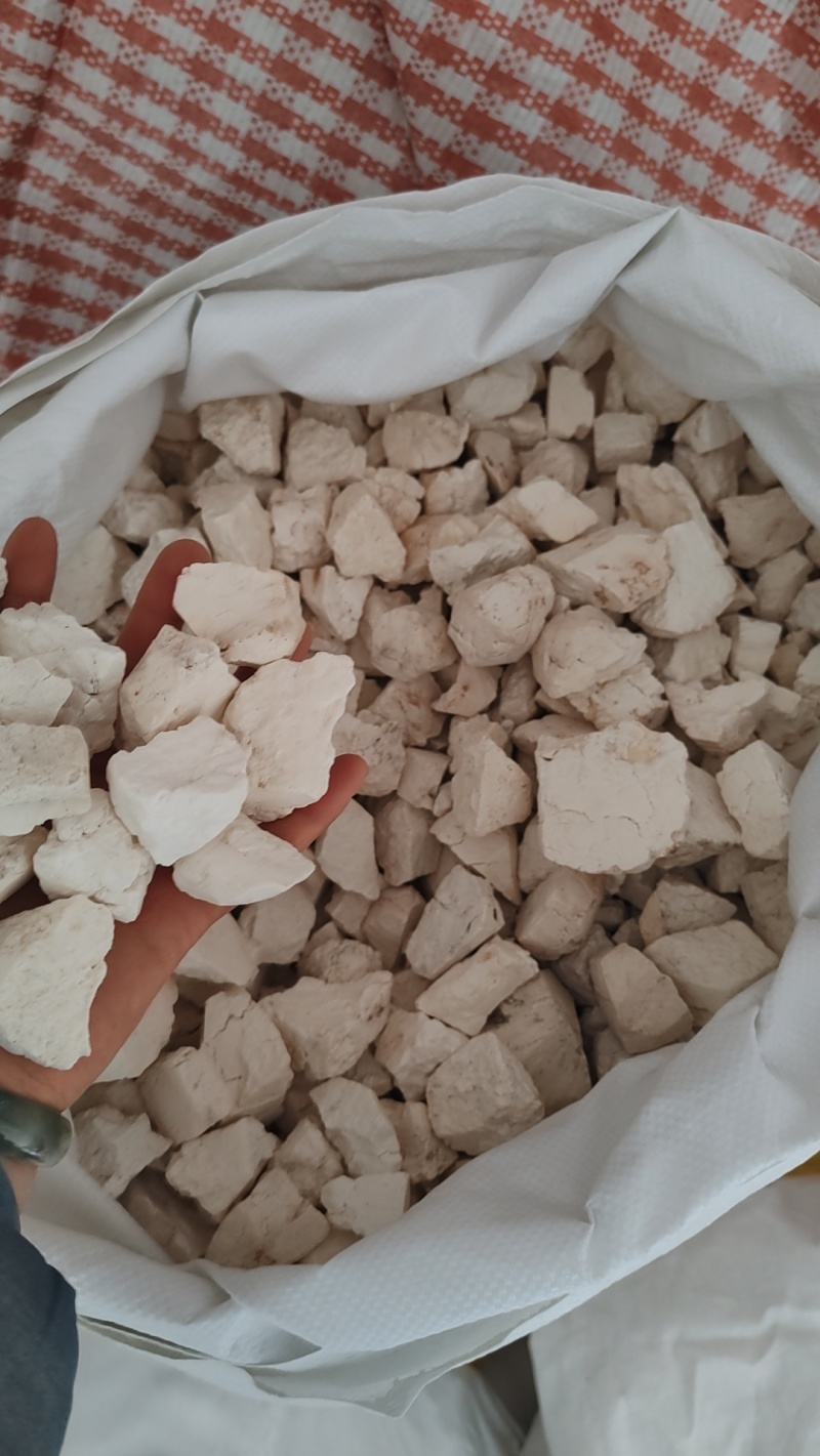云南茯苓生干无硫白坨