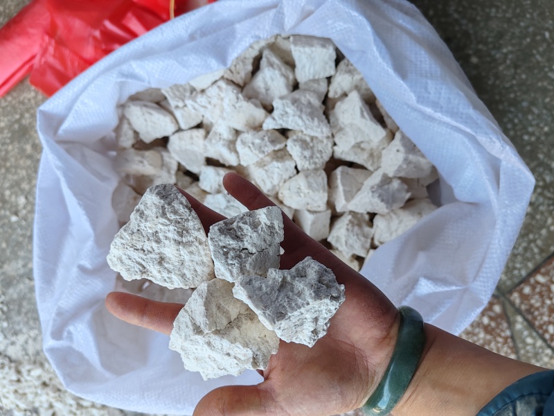 云南茯苓生干无硫白坨