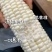 爆浆牛奶玉米，可以生吃的玉米，口感嫩甜，糖度18