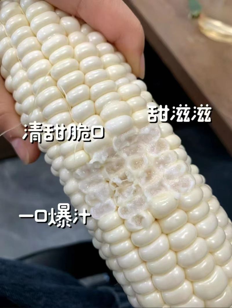 爆浆牛奶玉米，可以生吃的玉米，口感嫩甜，糖度18