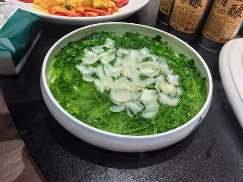 泉水药芹苗，鲜嫩无渣，适合各大高端酒店，基地直供。