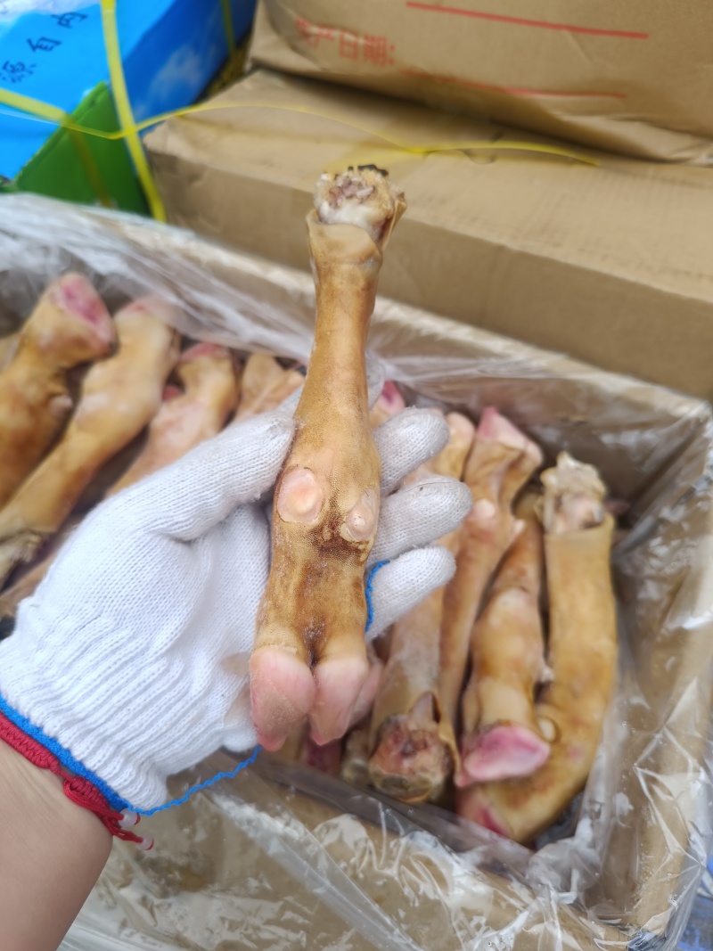 火烧羊蹄