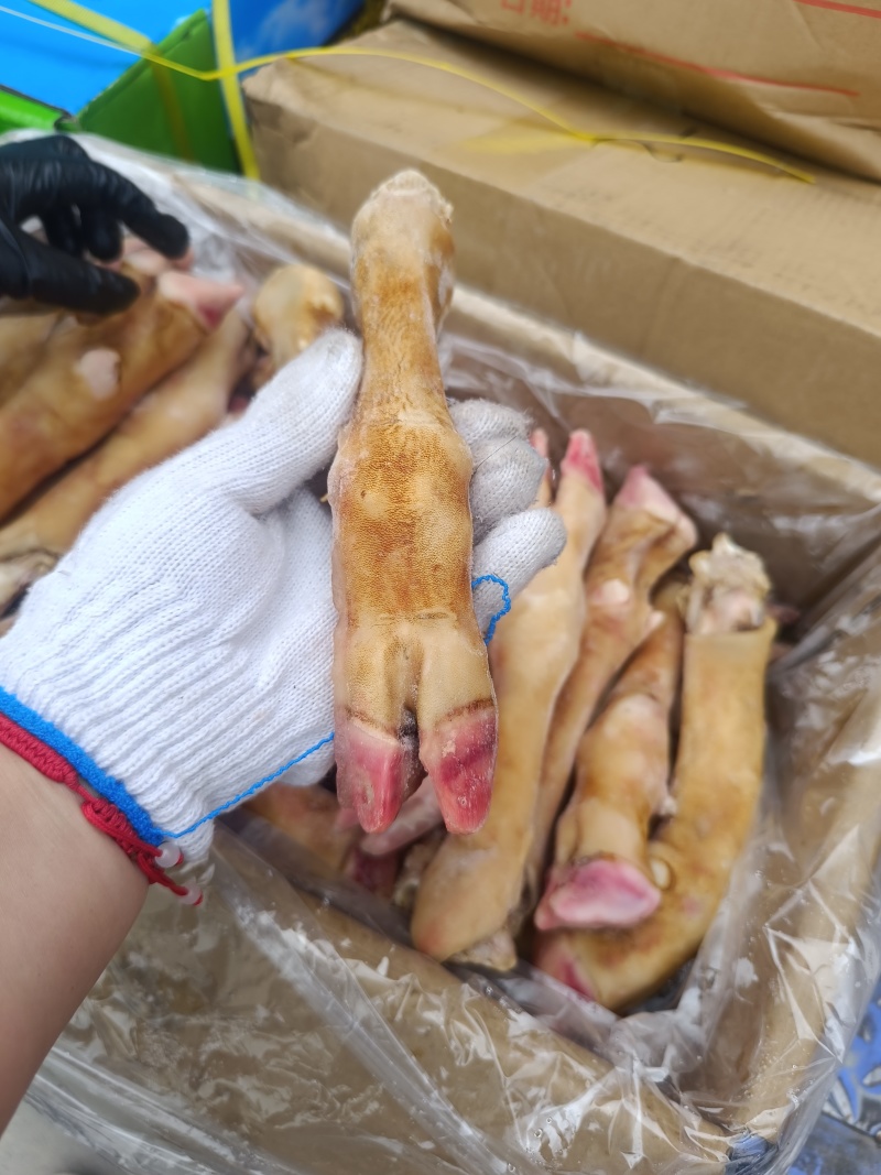 火烧羊蹄