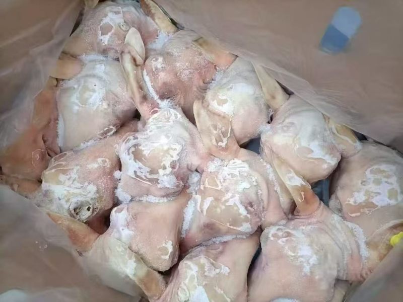 白羊头