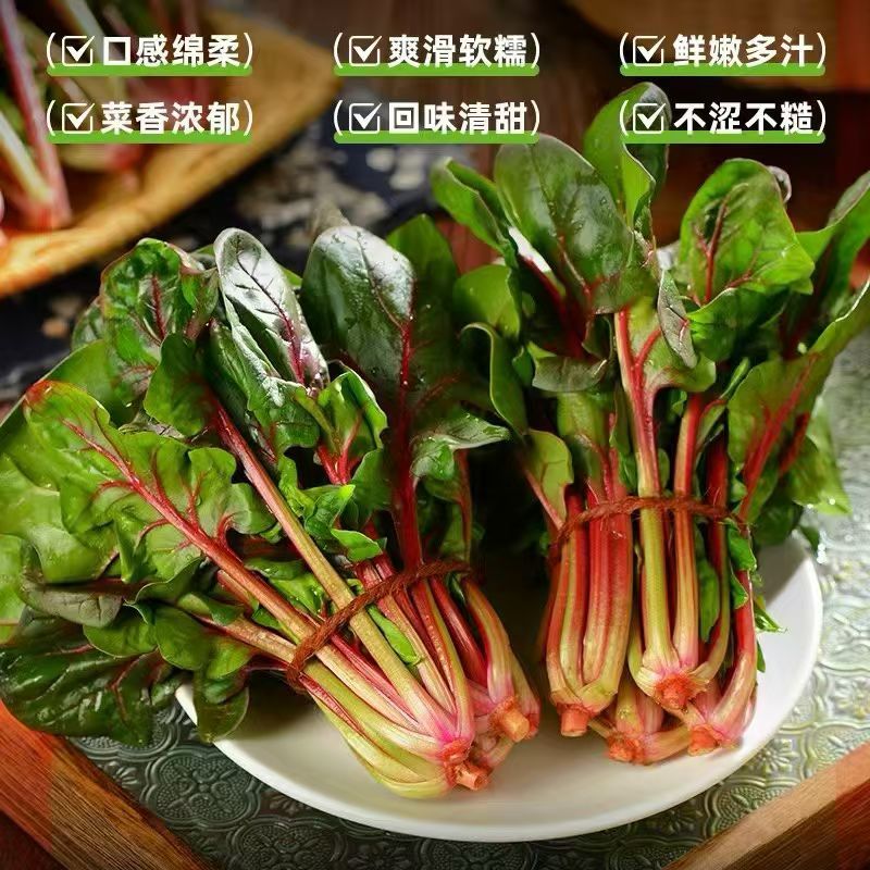 红菠菜，很有特色的一款菠菜，有需要的联系我！