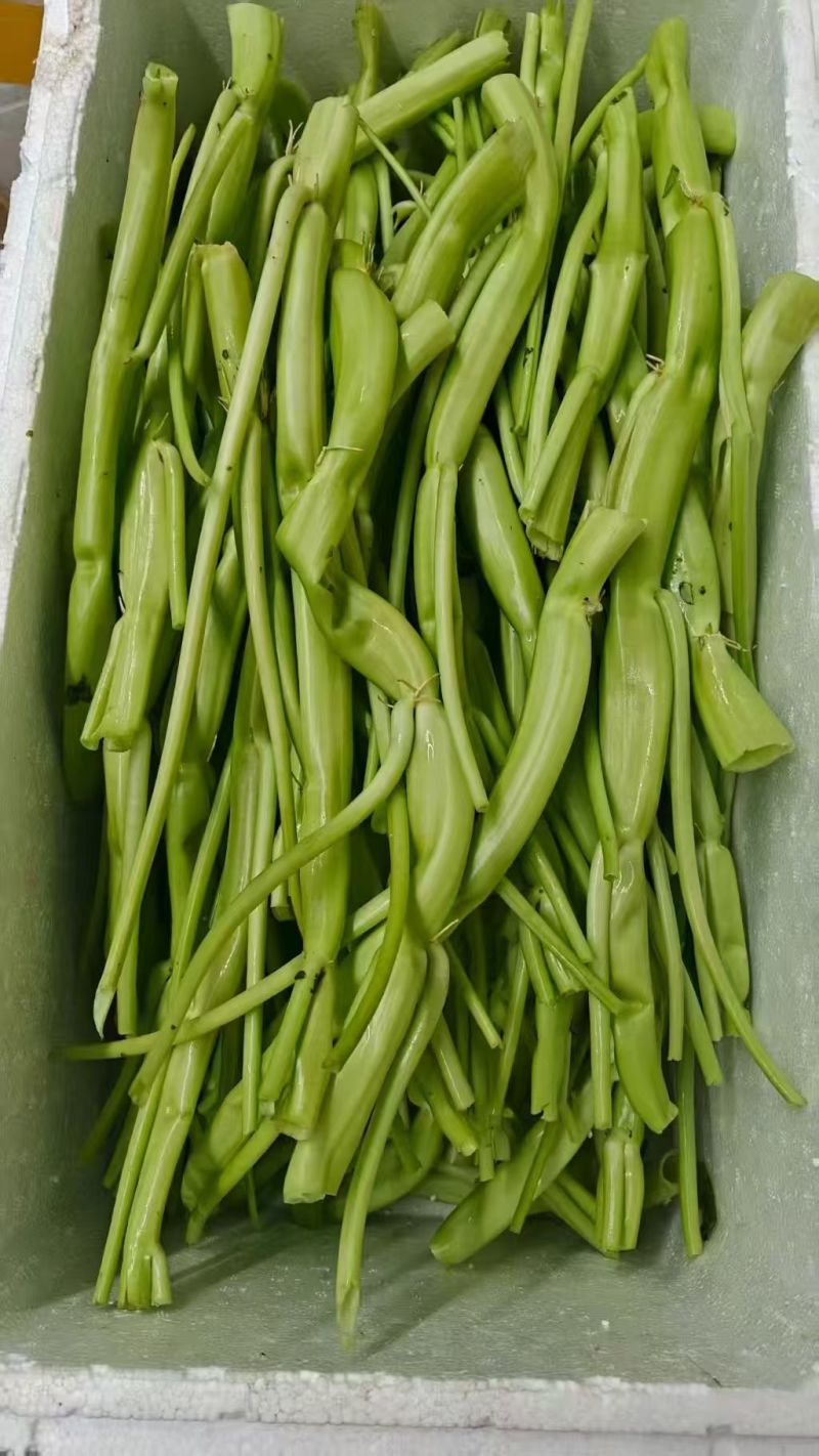 水果通菜，看着粗，但一点也不老，可以代替手撕包菜！