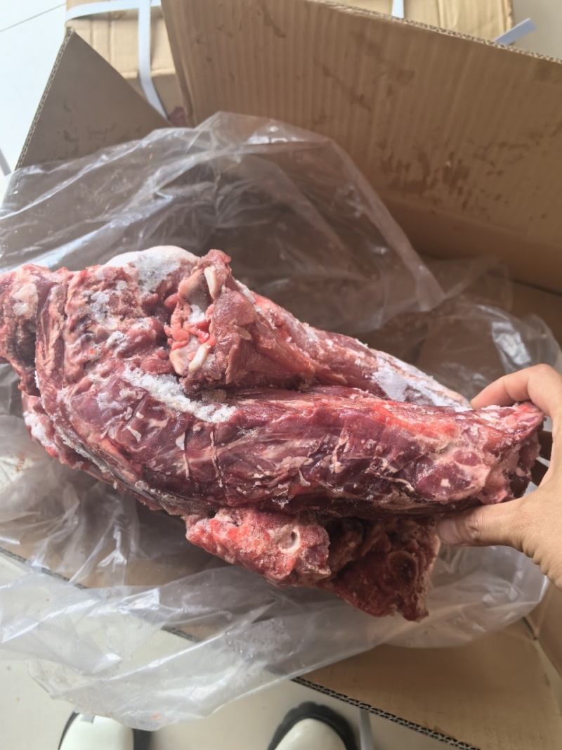 满肉羊蝎子