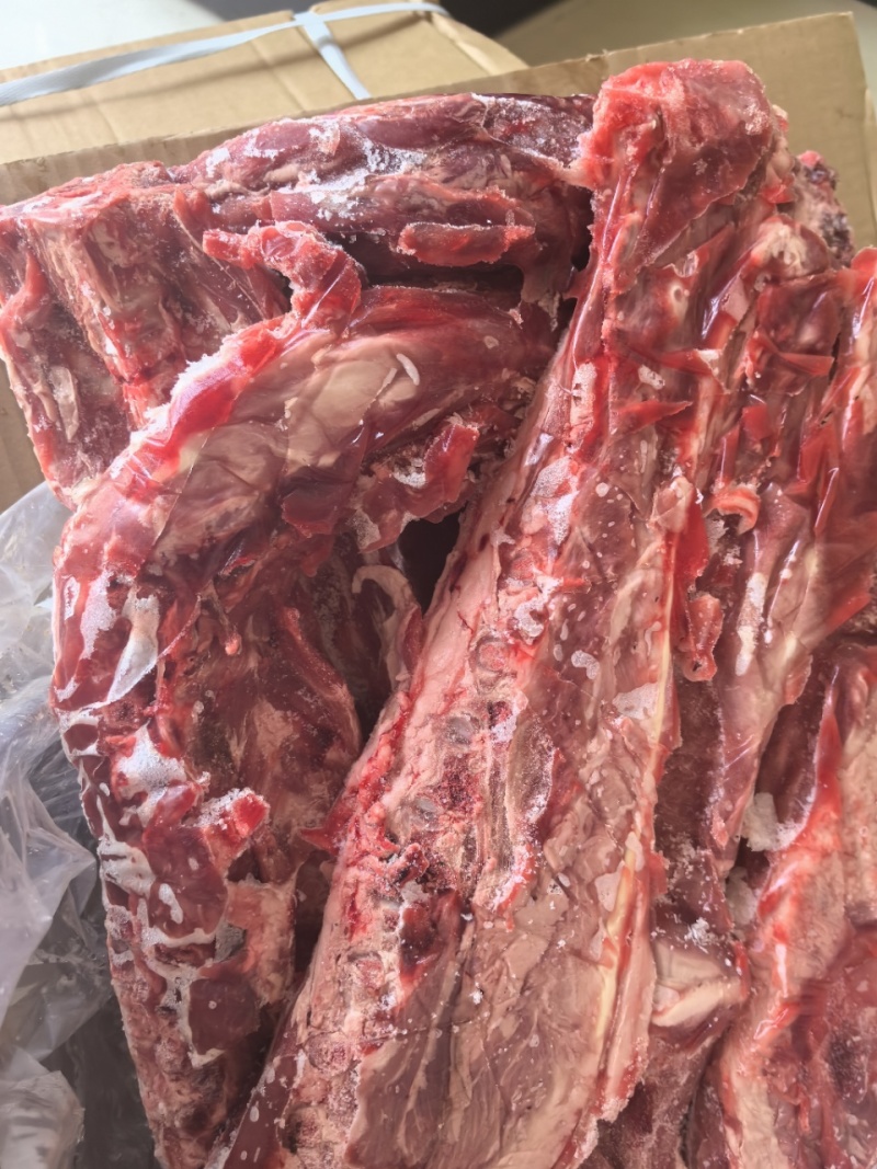 满肉羊蝎子