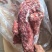 满肉羊蝎子