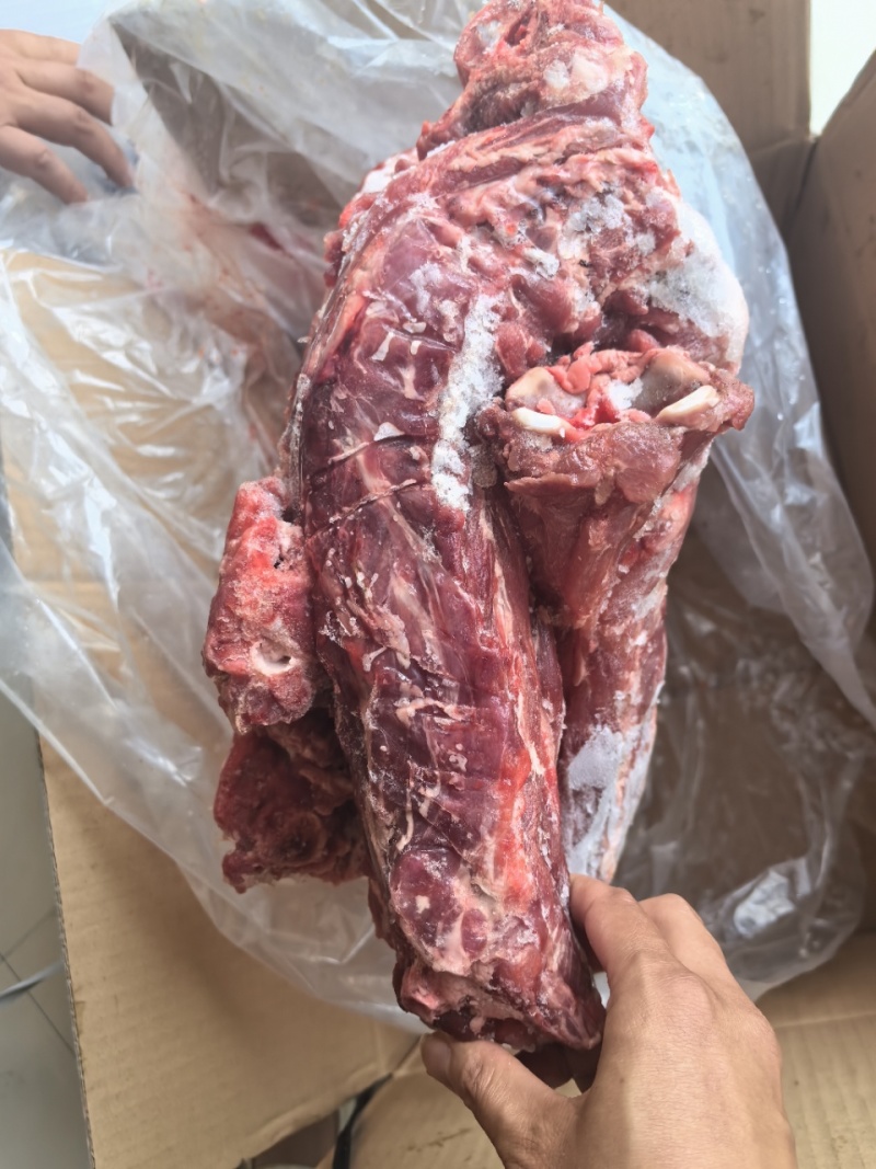 满肉羊蝎子