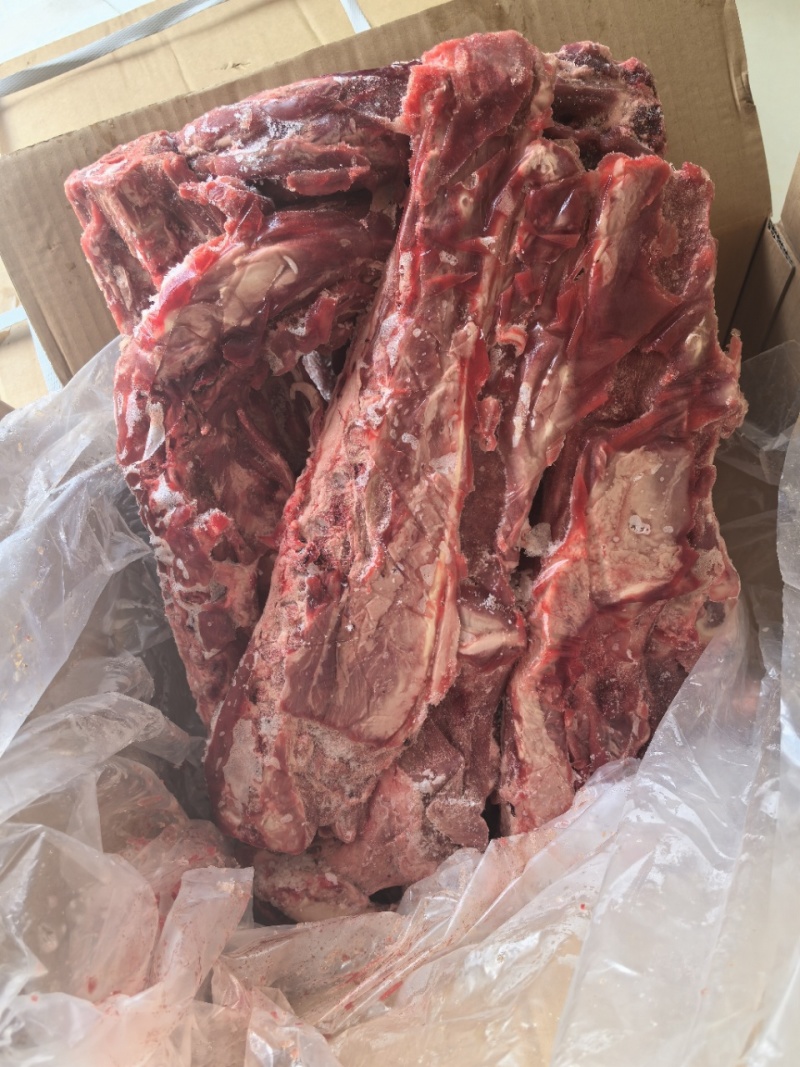 满肉羊蝎子