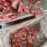 满肉羊蝎子