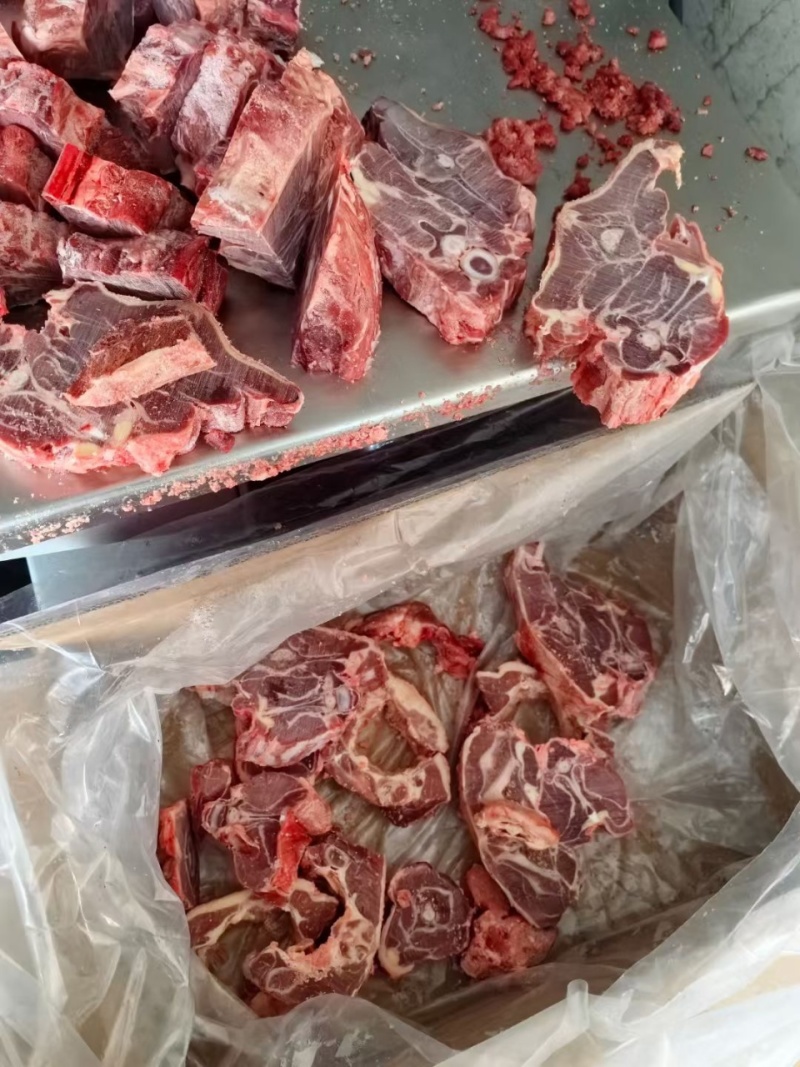 满肉羊蝎子