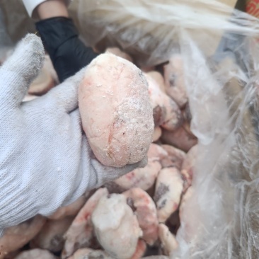 原油羊腰