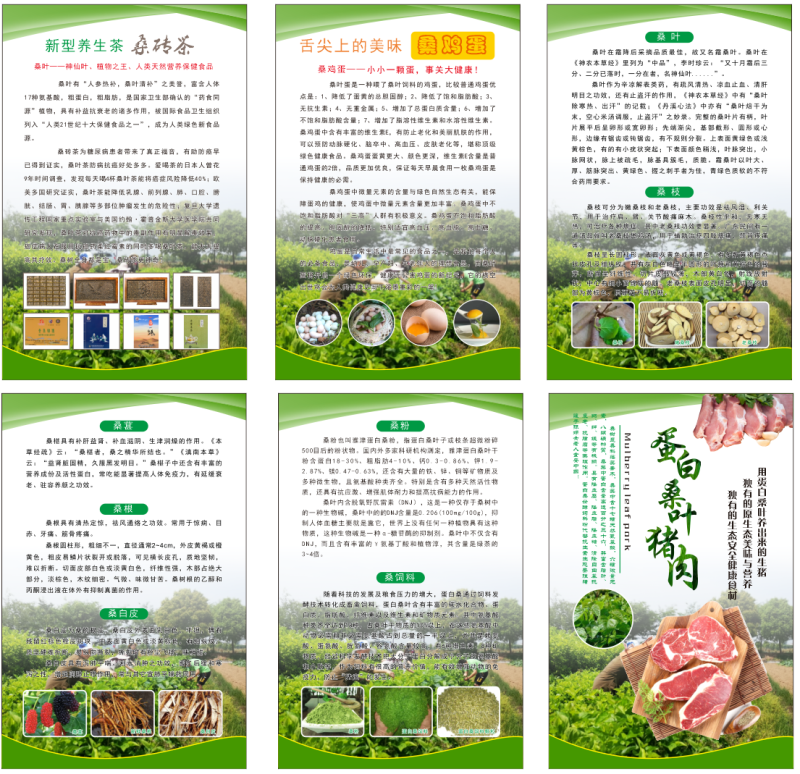水泥毯，使用于鱼塘护坡，沟渠护坡，公路铁路护坡等