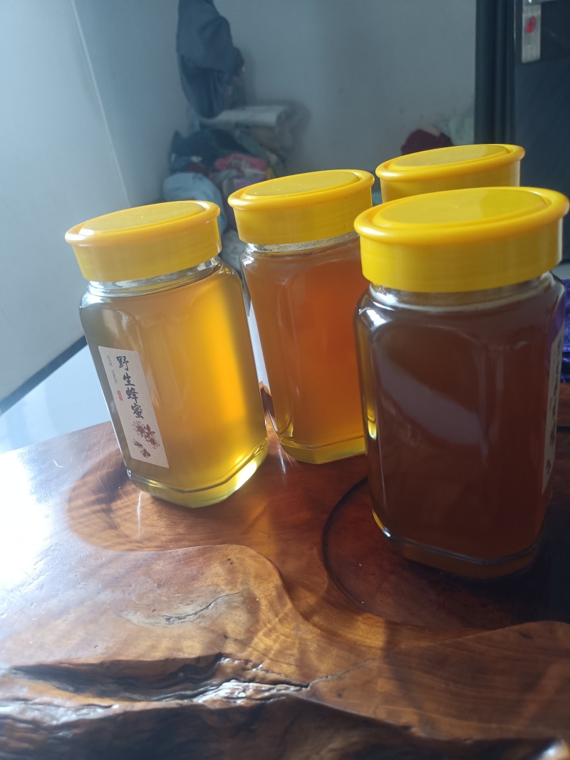 西双版纳农家野生蜂蜜百花蜜自然成熟口感好波美度高全国发