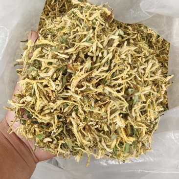 金银花，花蕾