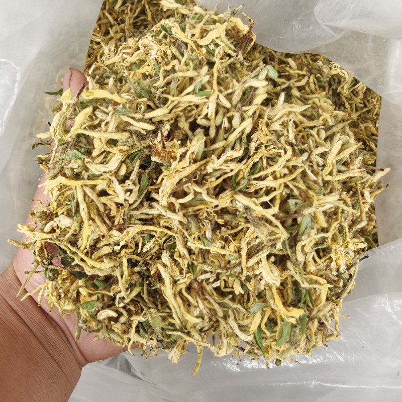 金银花，花蕾
