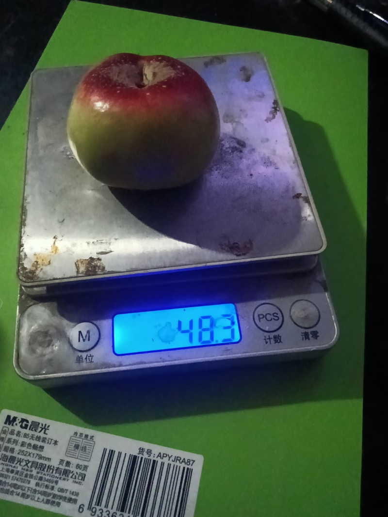 明月小蟠桃拇指大小，马上可采摘上市需要可联系