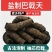 德庆盐制巴戟天批发产地直发