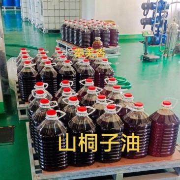 山桐子油，国标产品，专利工艺，**好油，滴滴香醇，