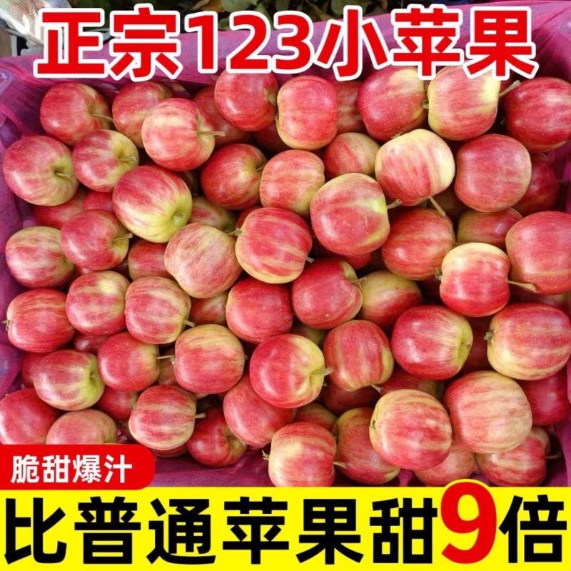 123小苹果东北吉林/自然成熟红亮皮薄一手货源产地直销