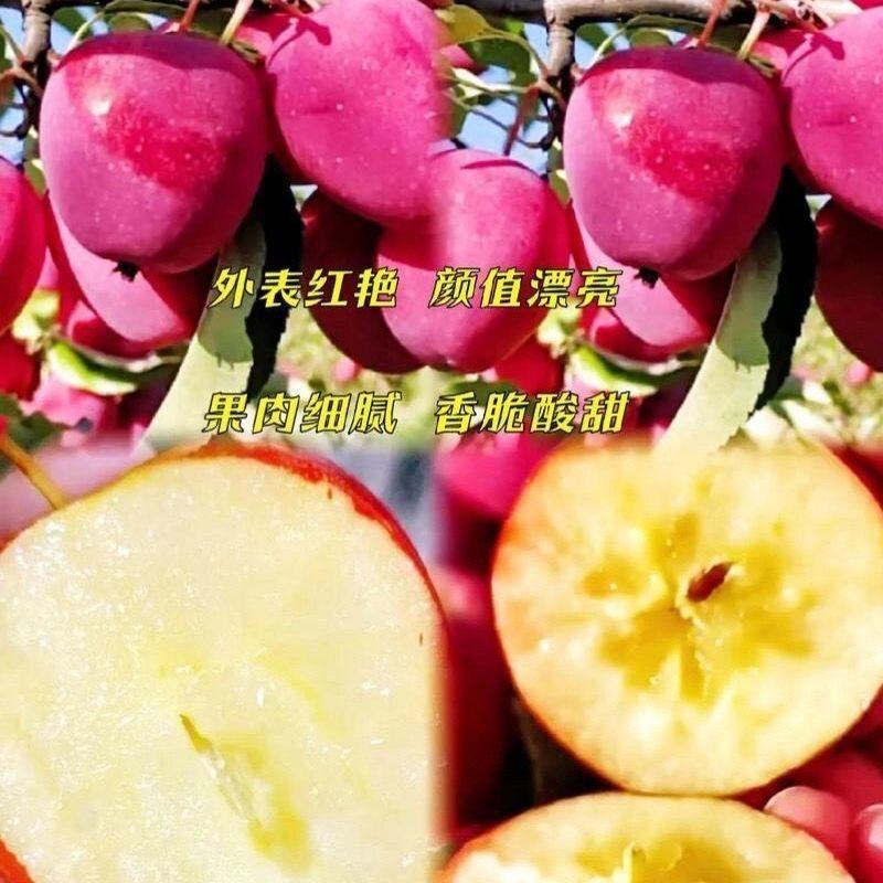 精品海棠果（鸡心果）东北吉林产地直发脆甜化渣新鲜饱满