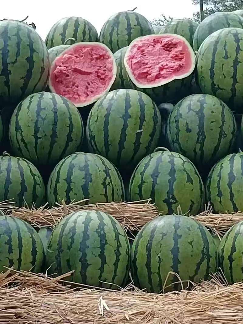 西瓜湖南怀化产地直发货源充足质量保证欢迎来电
