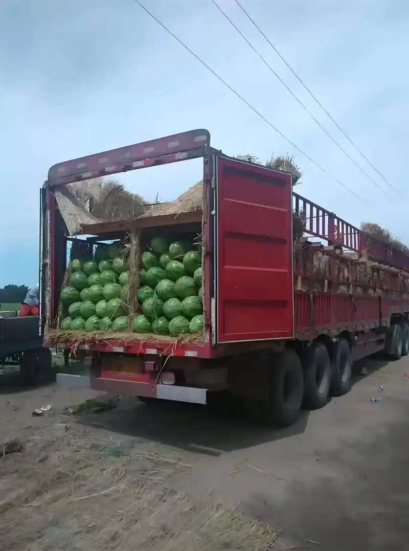 西瓜湖南怀化产地直发货源充足质量保证欢迎来电