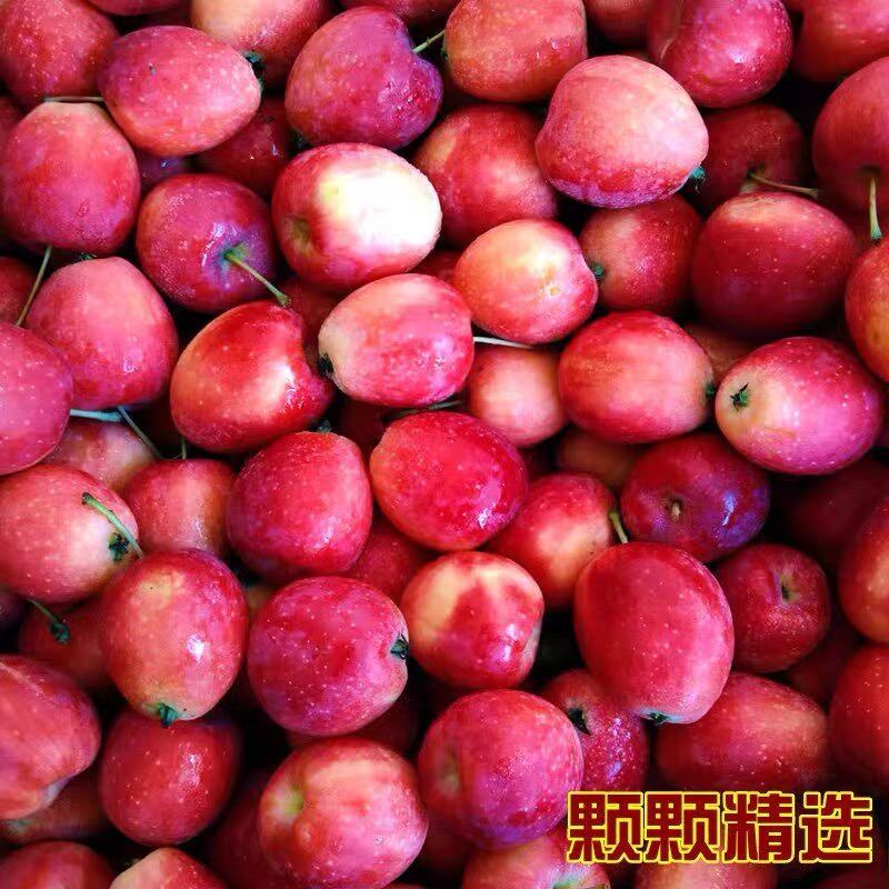 精品海棠果（鸡心果）东北吉林产地直发脆甜化渣新鲜饱满