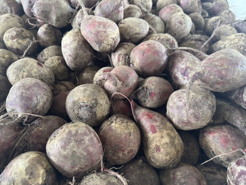 红甜菜甜菜头色素提取榨汁磨粉产地直发