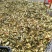 金花茶叶金花茶干叶防城港金花茶叶子大量供应金花茶叶