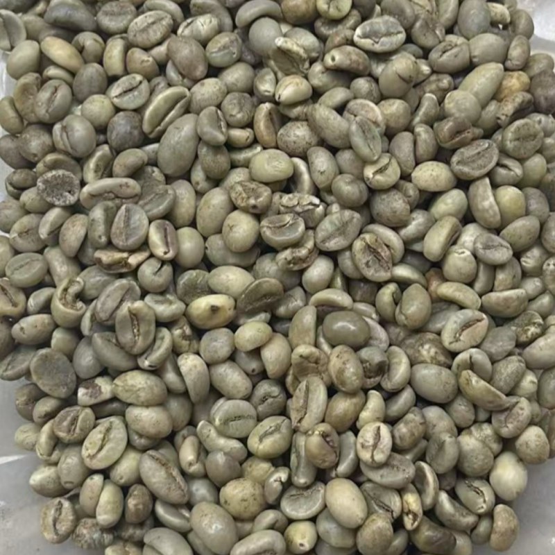 （越南）罗布斯塔14-15目/日晒.色选.