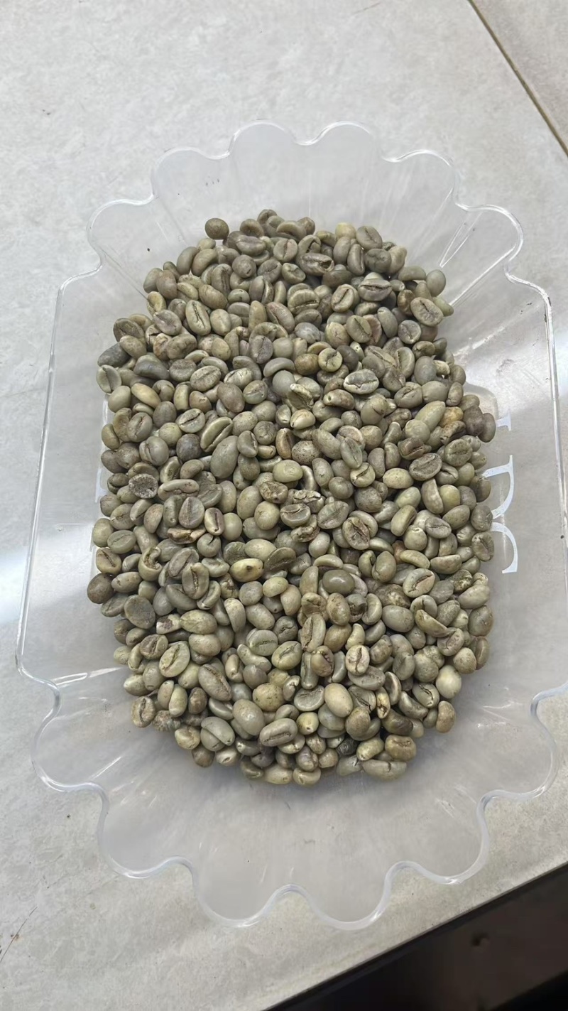（越南）罗布斯塔14-15目/日晒.色选.