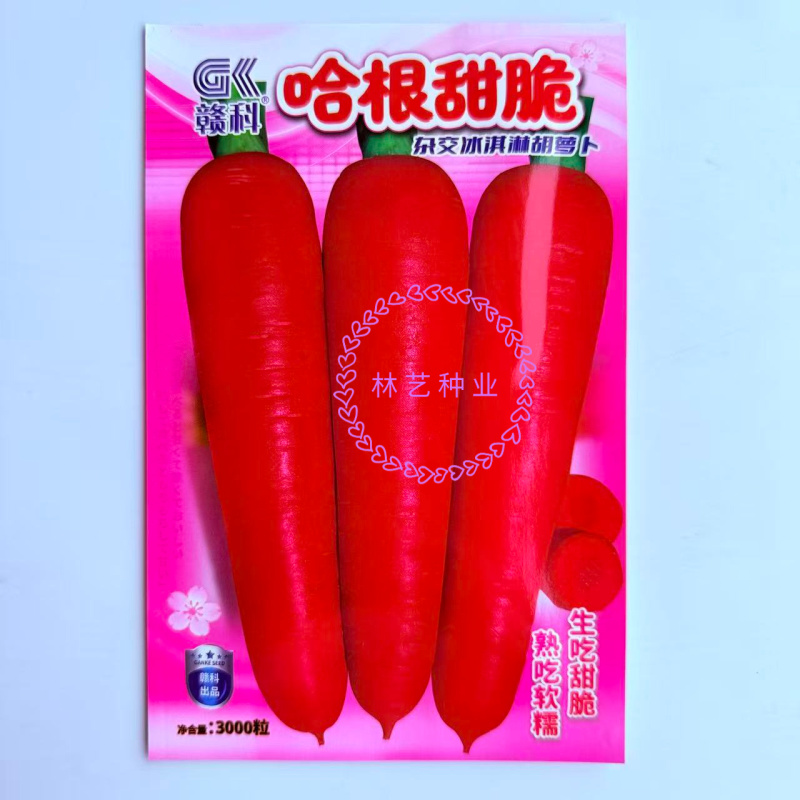 哈根甜脆杂交冰淇凌胡萝卜种子皮肉心三红商品性佳