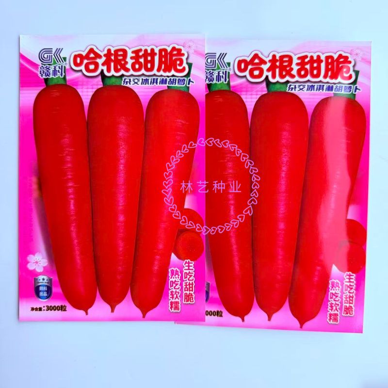 哈根甜脆杂交冰淇凌胡萝卜种子皮肉心三红商品性佳