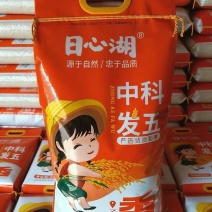 中科发五大米