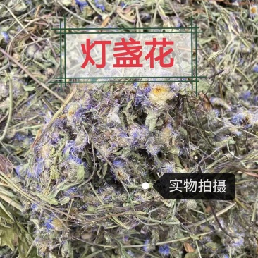 灯盏花正品云南灯盏花中药材灯盏花压片灯盏花