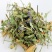 灯盏花正品云南灯盏花中药材灯盏花压片灯盏花