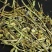 灯盏花正品云南灯盏花中药材灯盏花压片灯盏花