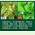 【正品】螯合钙镁中量元素特肥防裂果增甜上色