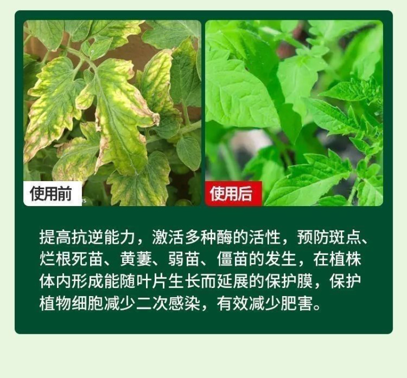 【正品】螯合钙镁中量元素特肥防裂果增甜上色