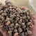 大豆腐熟发酵有机菌肥底肥缓释肥豆柏枯草芽孢杆菌代替羊粪