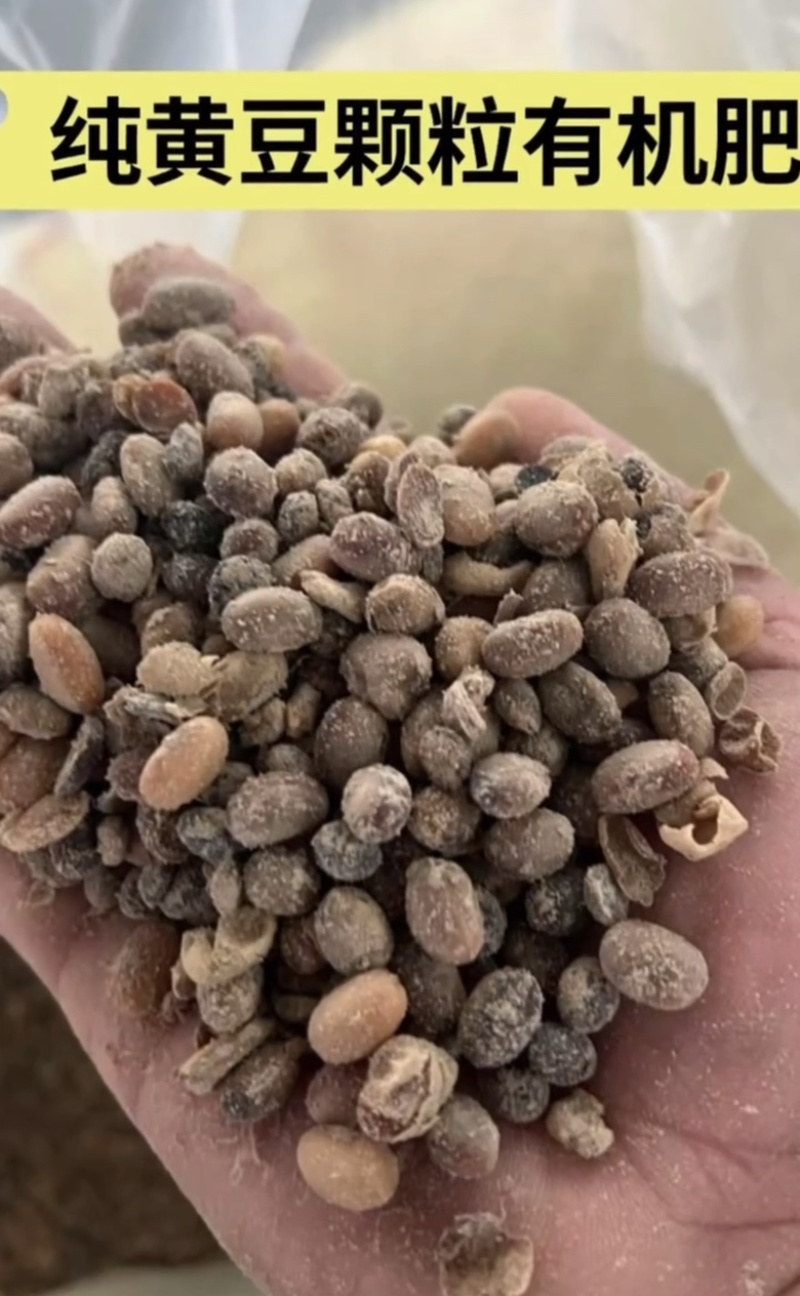 大豆腐熟发酵有机菌肥底肥缓释肥豆柏枯草芽孢杆菌代替羊粪