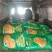 大豆腐熟发酵有机菌肥底肥缓释肥豆柏枯草芽孢杆菌代替羊粪