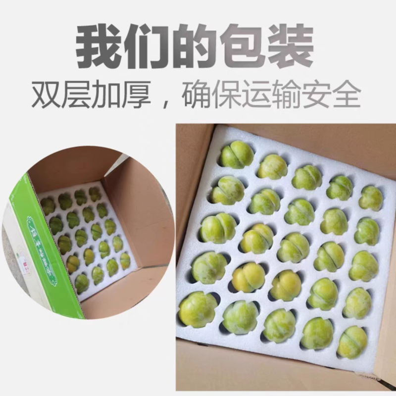 贵州蜂糖李电商一件代发，顺丰包邮