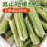 丝瓜短棒肉丝瓜油皮丝瓜本地丝瓜长丝瓜基地直供