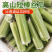 丝瓜短棒肉丝瓜油皮丝瓜本地丝瓜长丝瓜基地直供