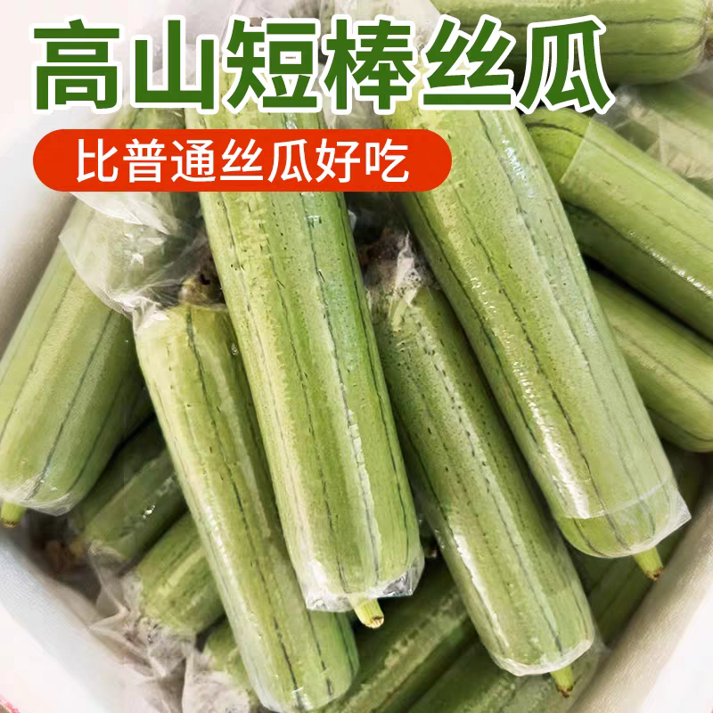 丝瓜短棒肉丝瓜油皮丝瓜本地丝瓜长丝瓜基地直供