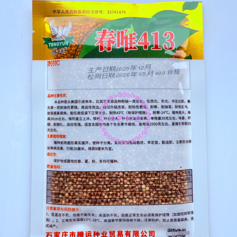 春唯413铁杆香菜种子耐热香菜耐热耐寒大叶香菜芫荽耐高温